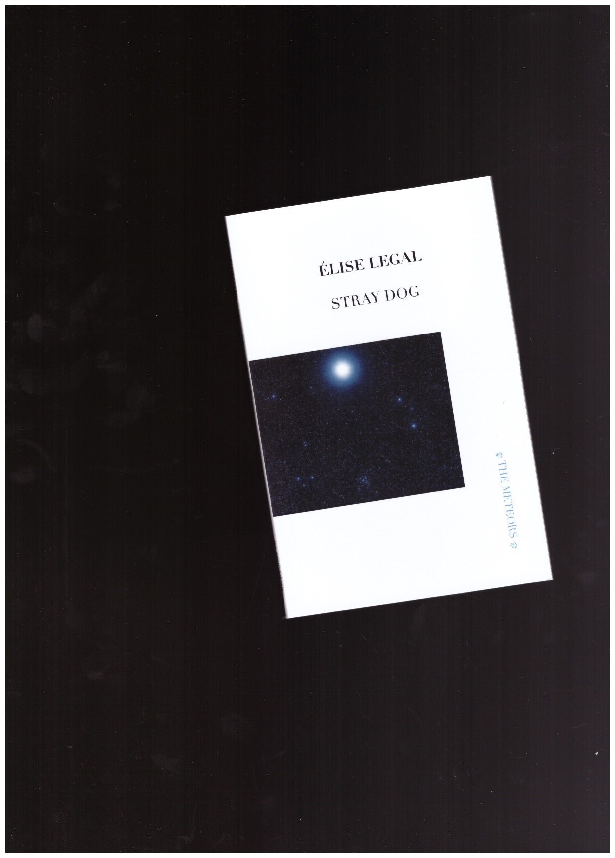 LEGAL, Élise - Stray Dog